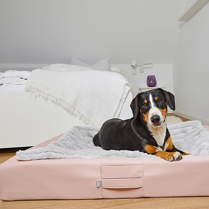 Sparpakete - ammi® for Dogs