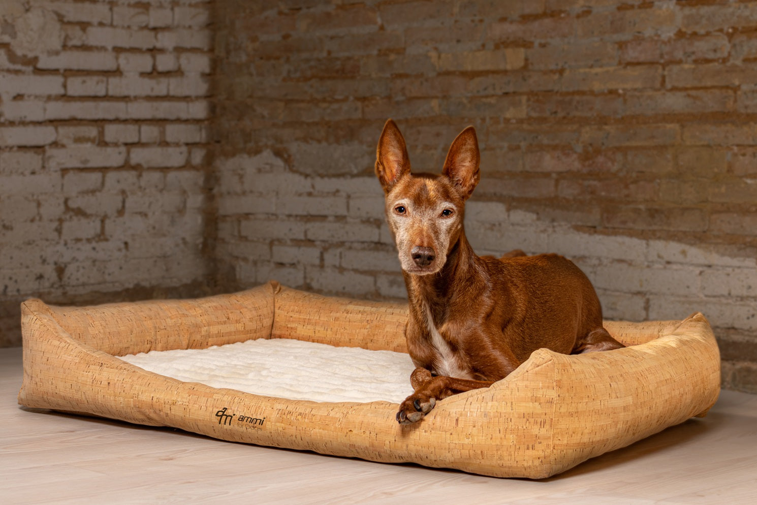 Korkhundebett Nubo orthopädisch