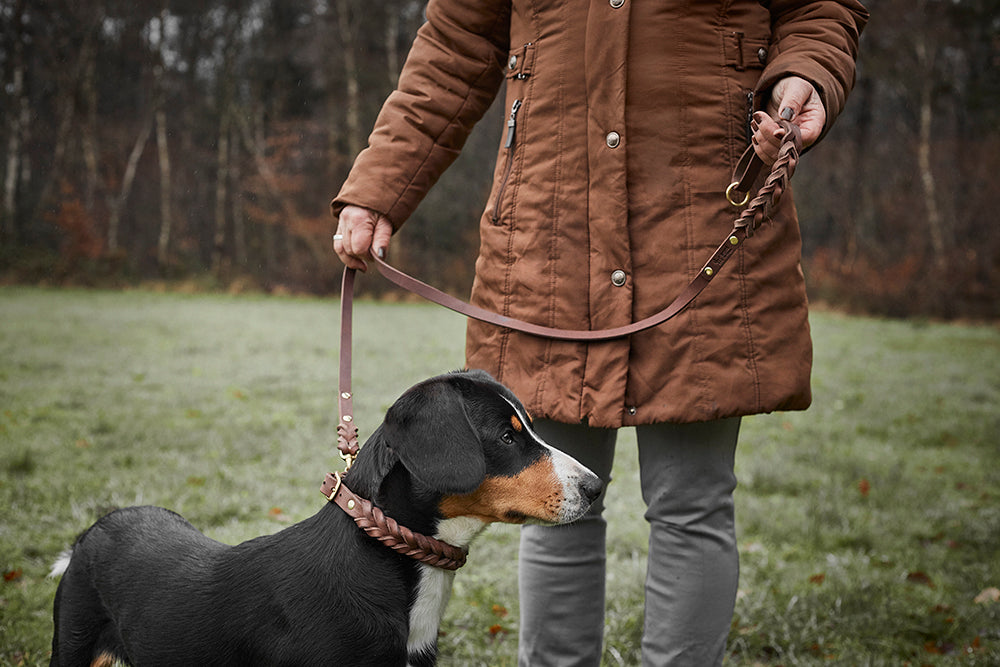 Fettlederleine mit Handschlaufe geflochten
