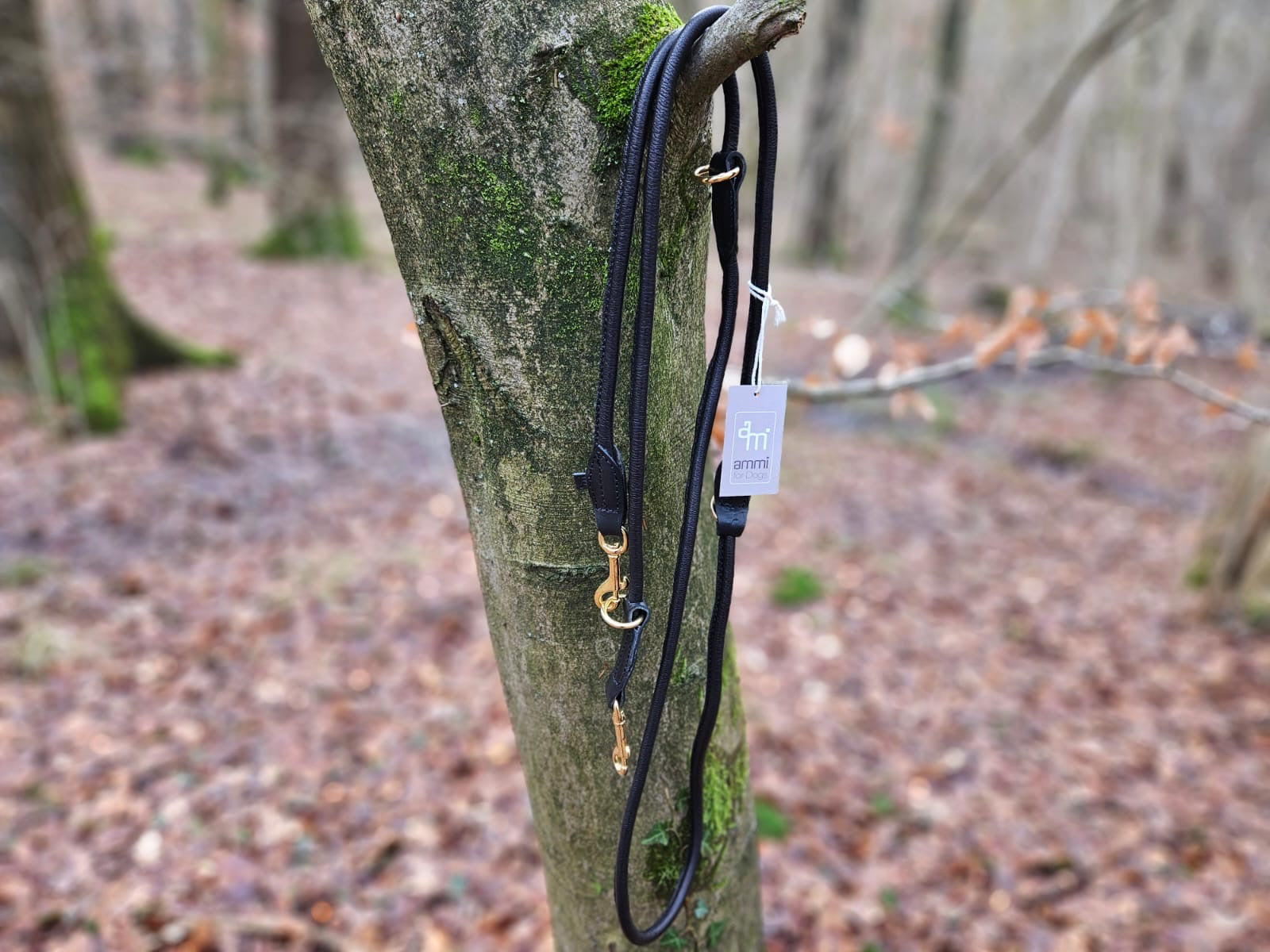 Hirschlederleine verstellbar