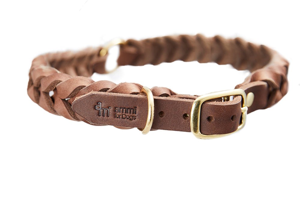 Fettlederhalsband geflochten - ammi® for Dogs
