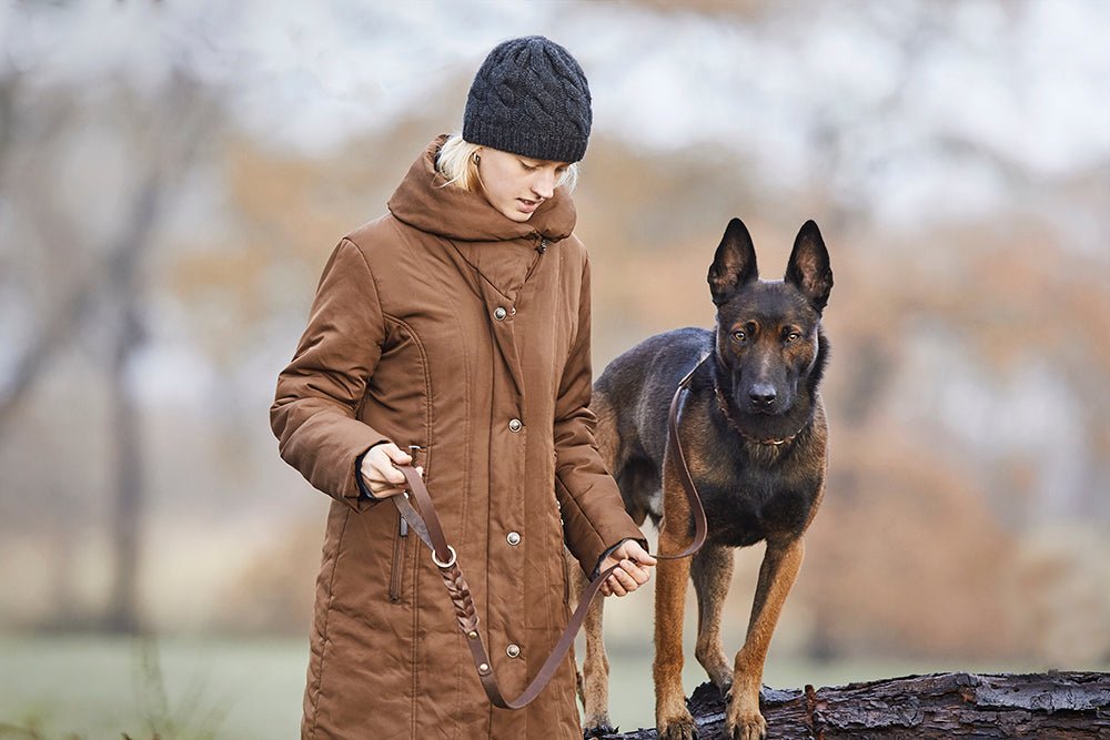Fettlederleine mit Handschlaufe geflochten - ammi® for Dogs