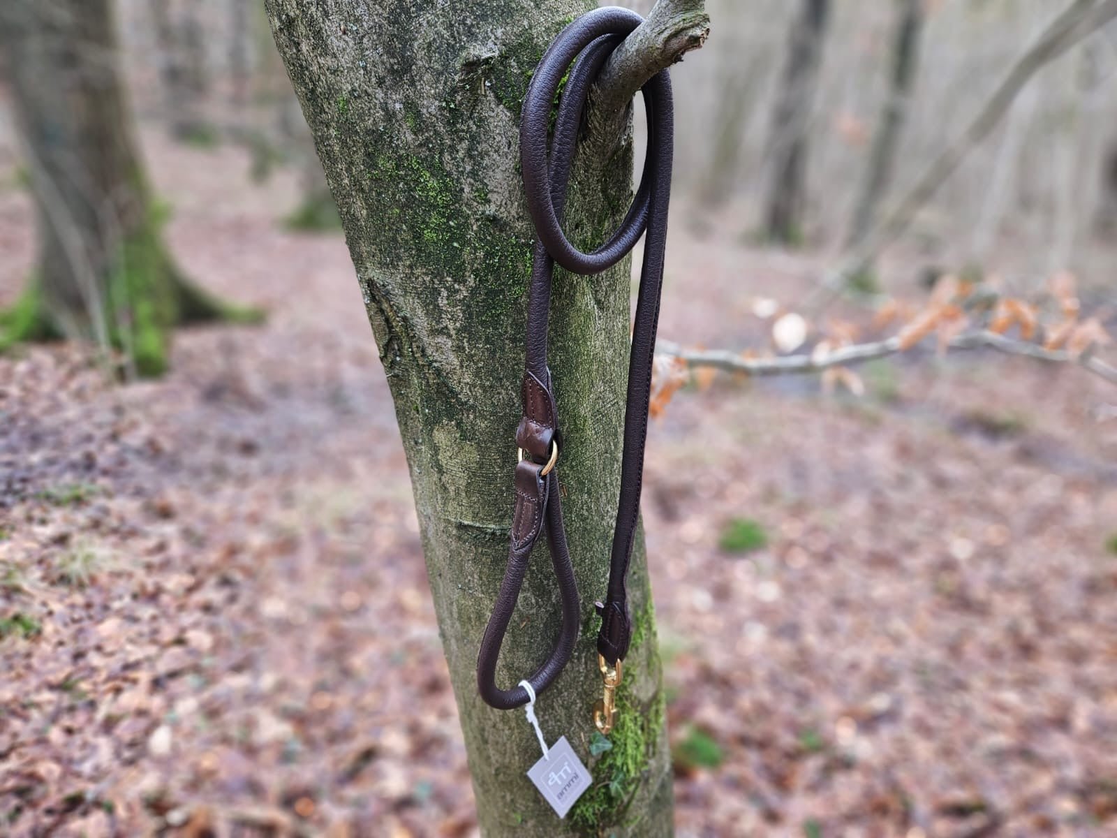 Hirschlederleine mit Handschlaufe - ammi® for Dogs