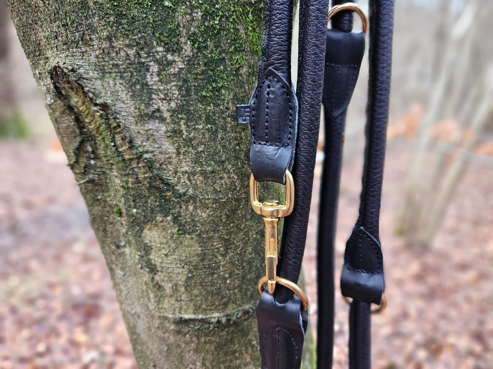 Hirschlederleine verstellbar - ammi® for Dogs