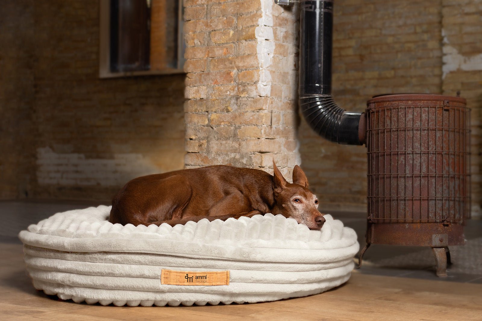 Hundekissen Cama - ammi® for Dogs