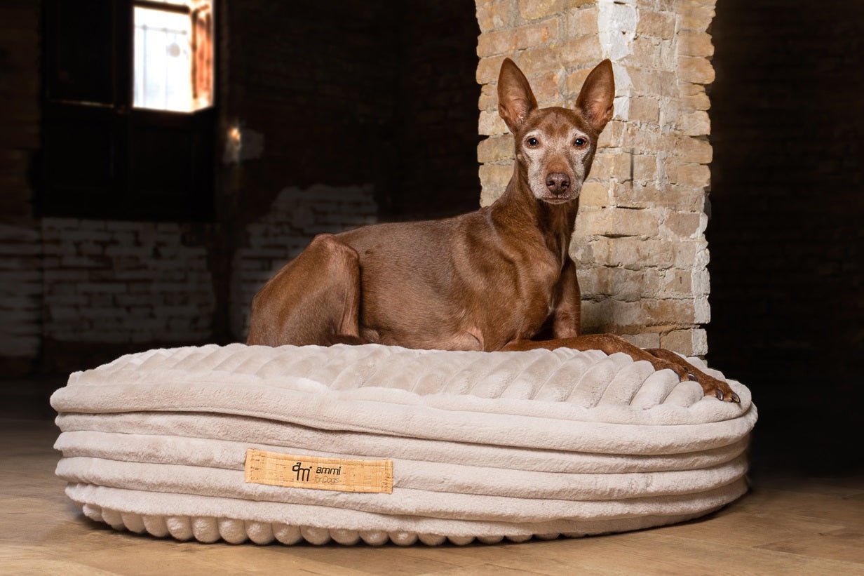 Hundekissen Cama - ammi® for Dogs