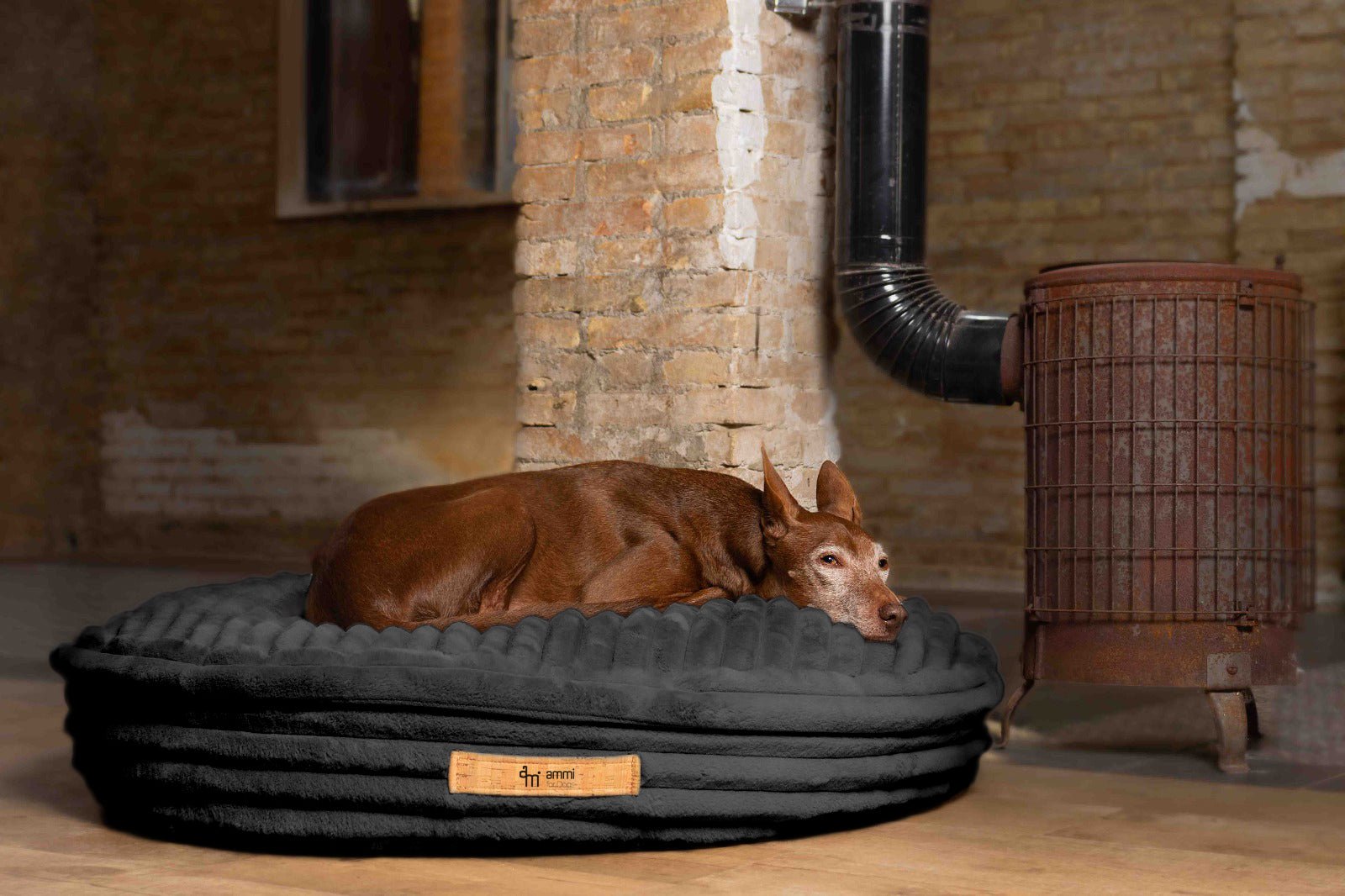 Hundekissen Cama - ammi® for Dogs