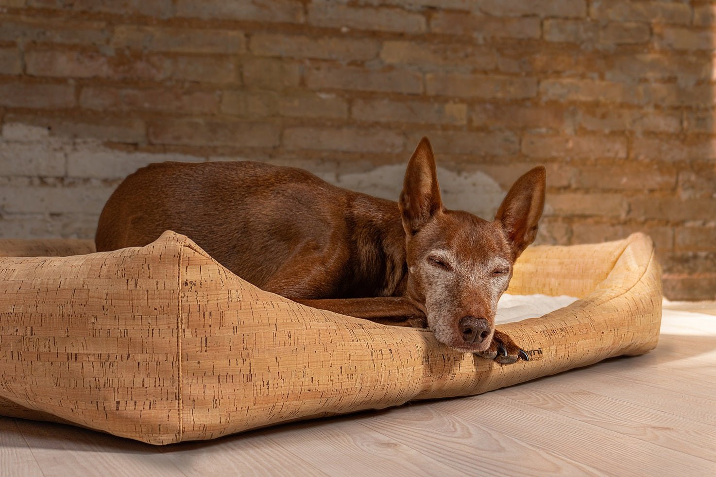 Korkhundebett Nubo orthopädisch - ammi® for Dogs