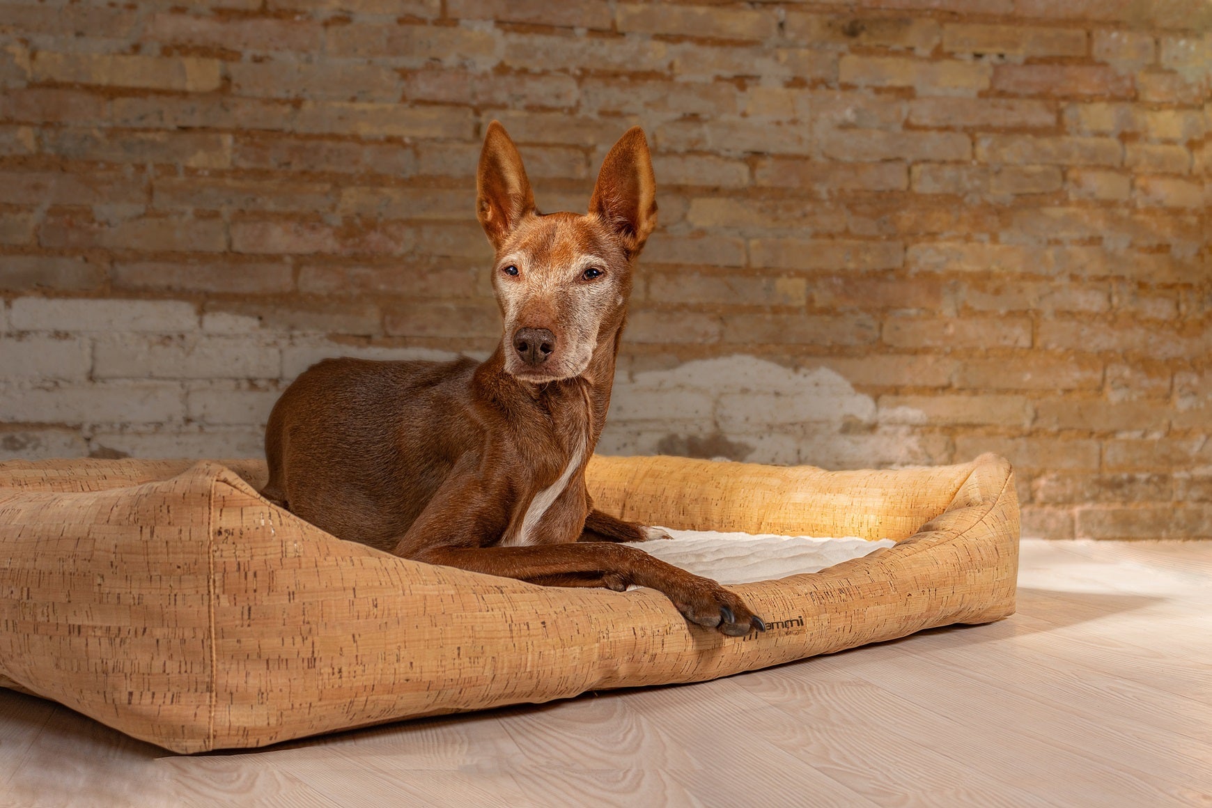 Korkhundebett Nubo orthopdisch
