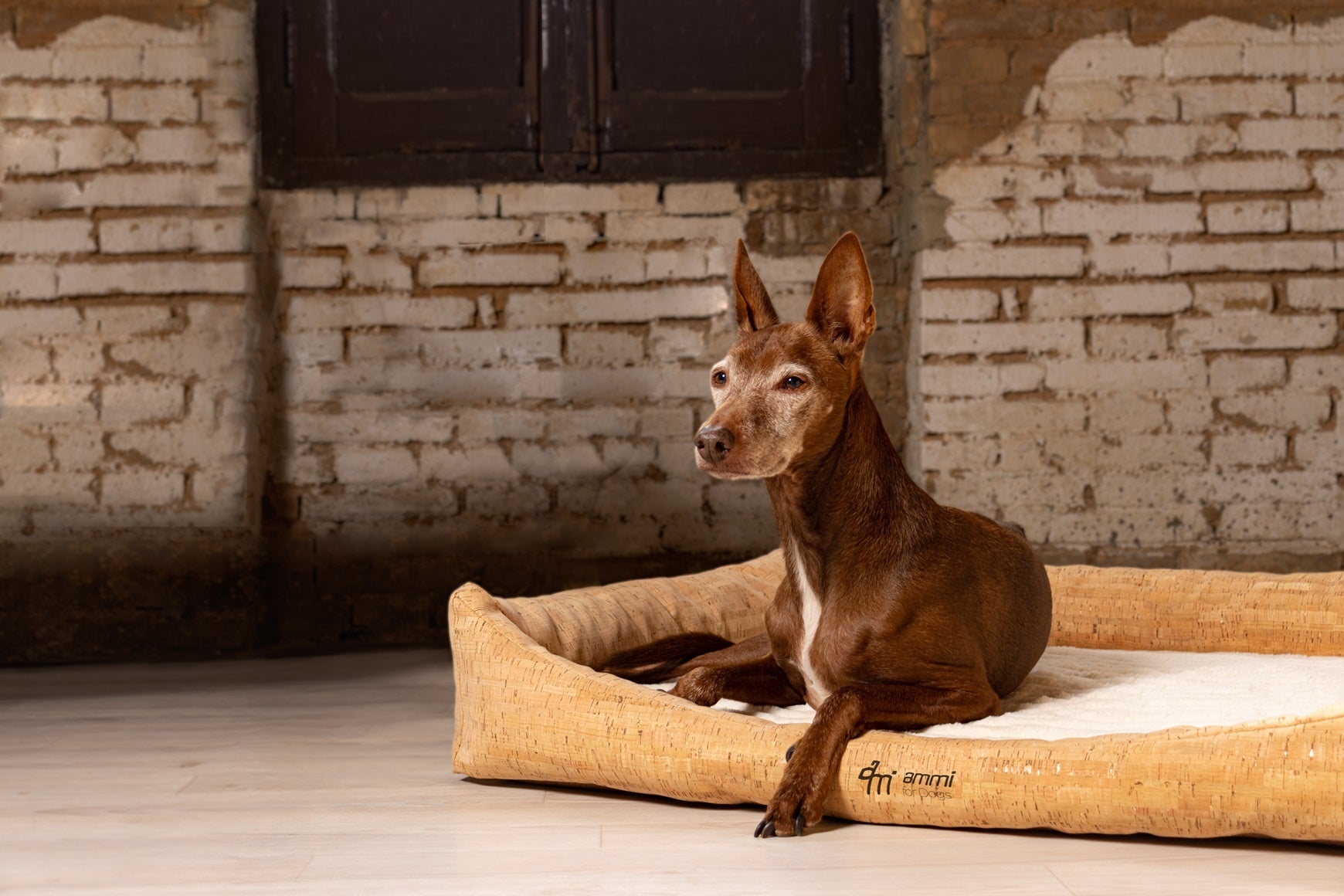 Korkhundebett Nubo orthopädisch - ammi® for Dogs