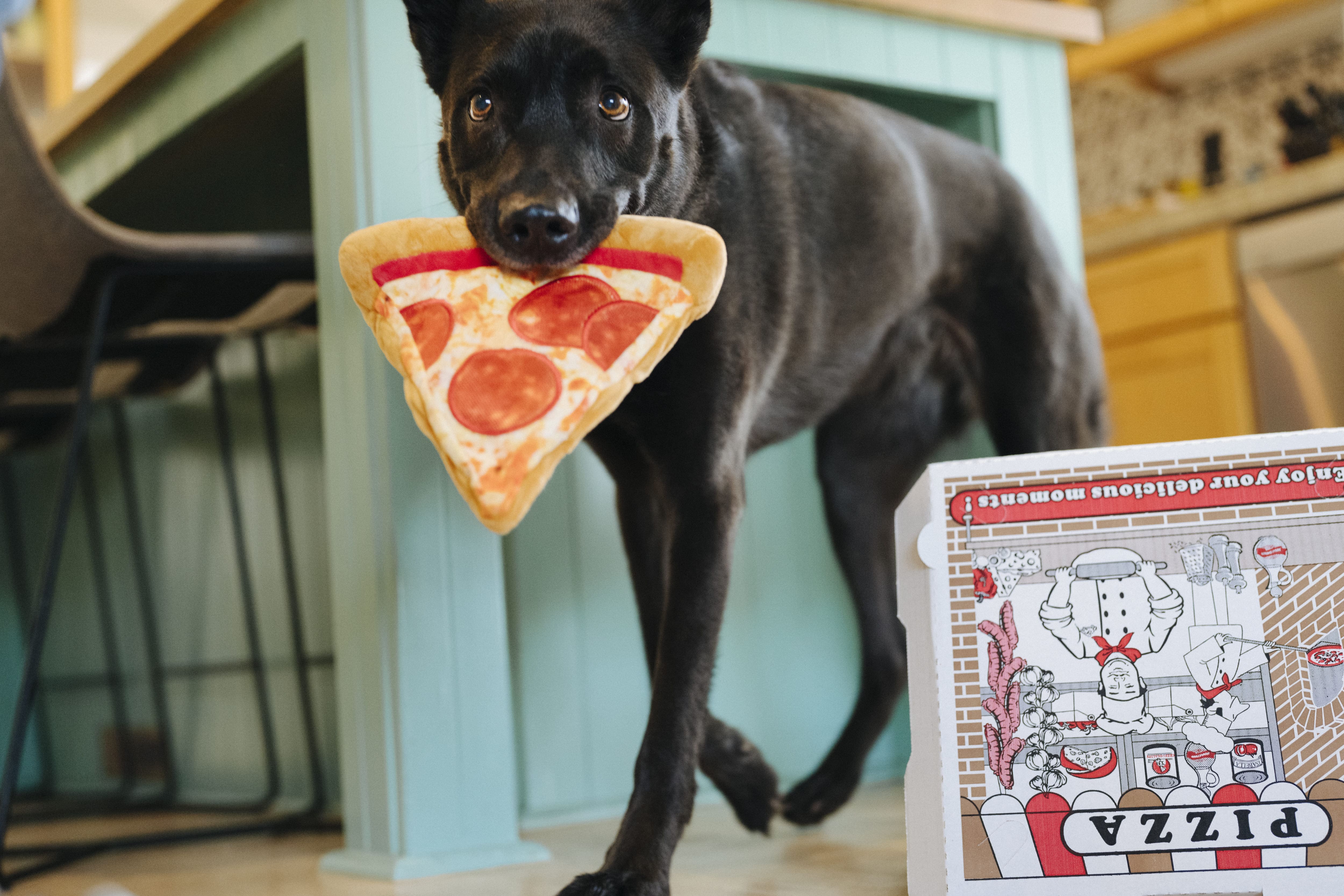 P.L.A.Y. Hundespielzeug Puppy-roni Pizza