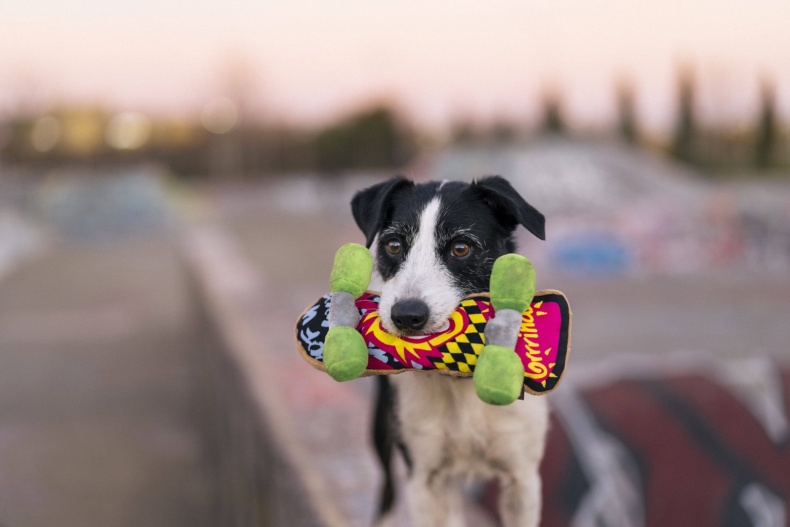 P.L.A.Y. Hundespielzeug Skateboard