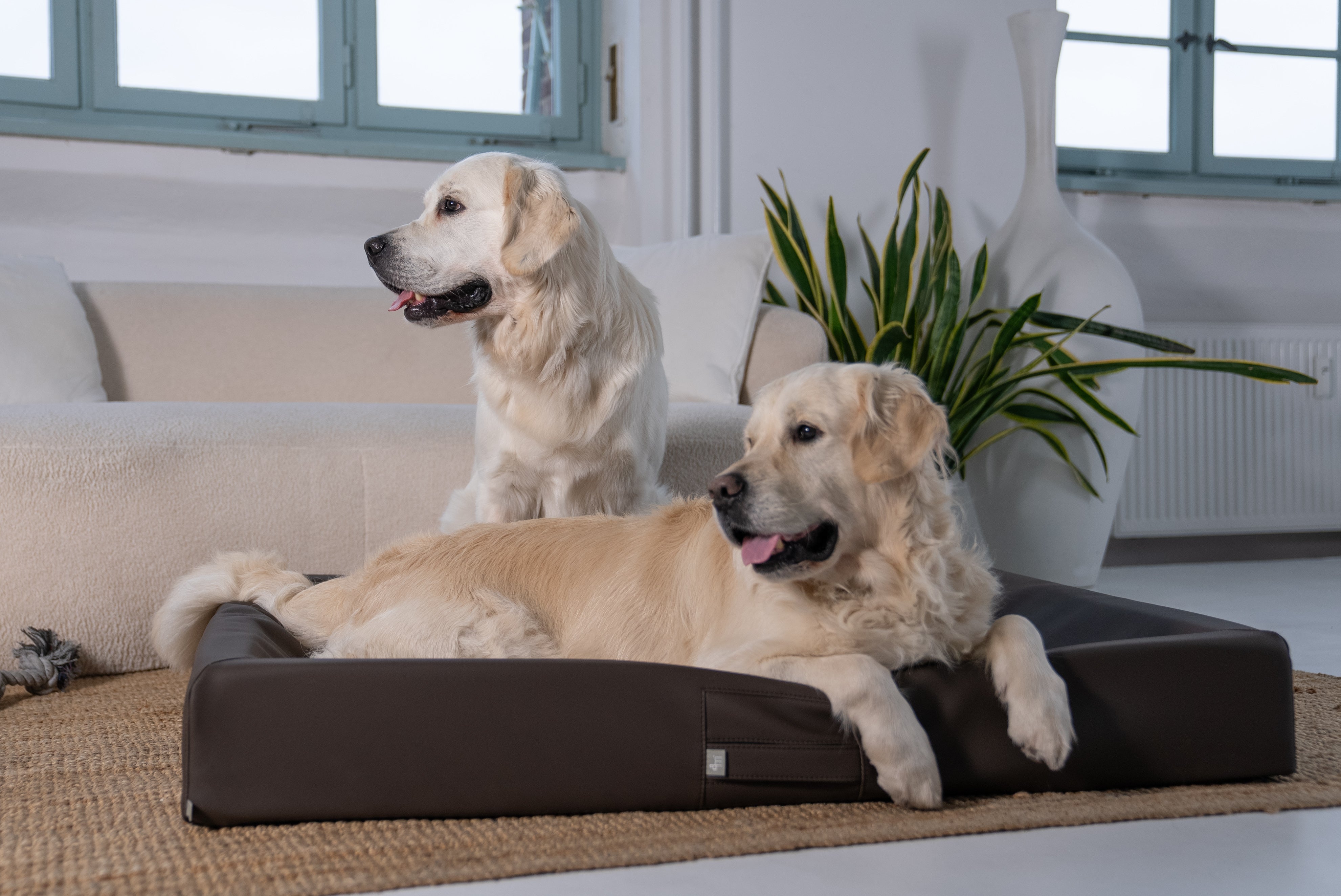 ammi®Bed#Farbe_Espresso