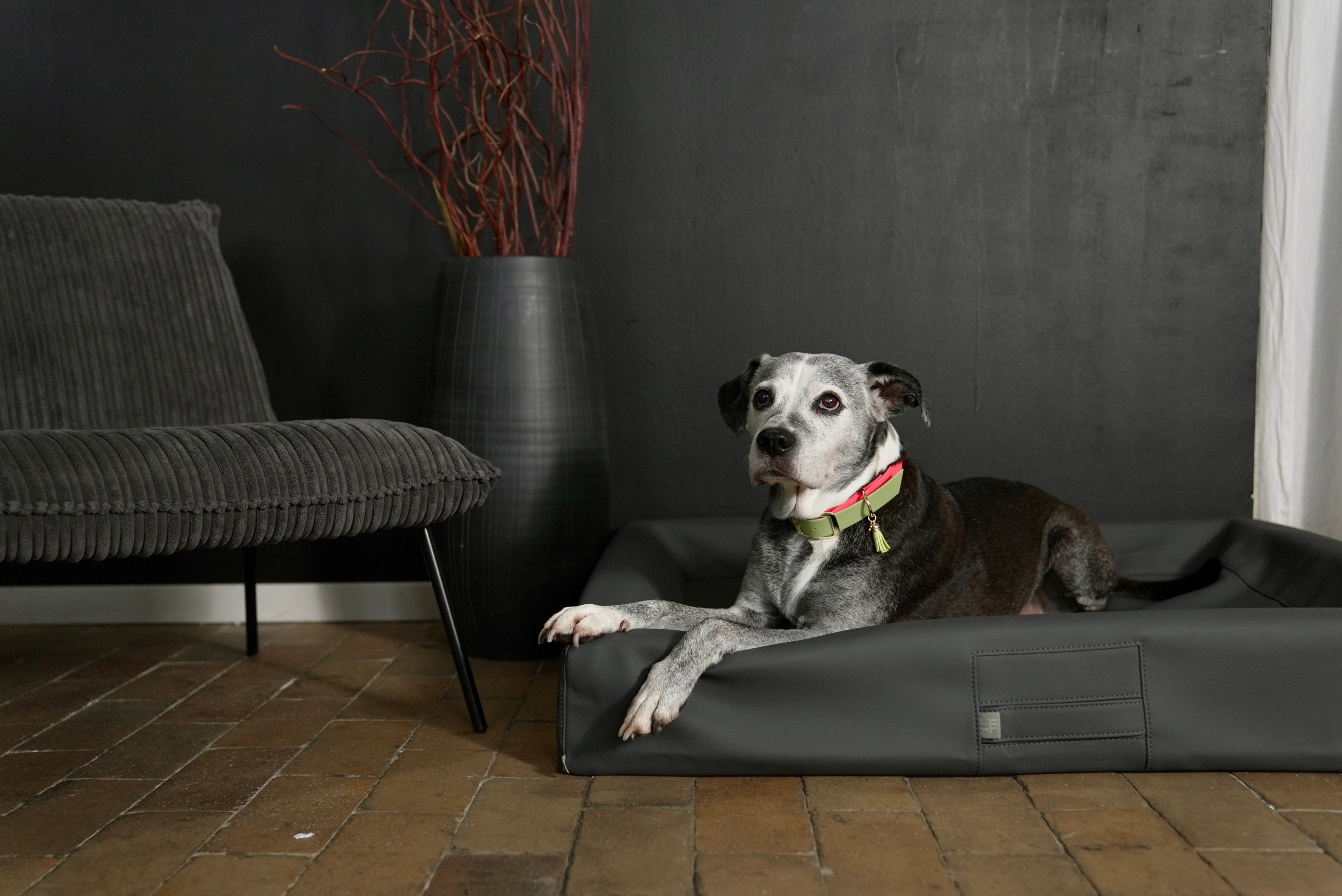 ammi®Bed#Farbe_Graphit