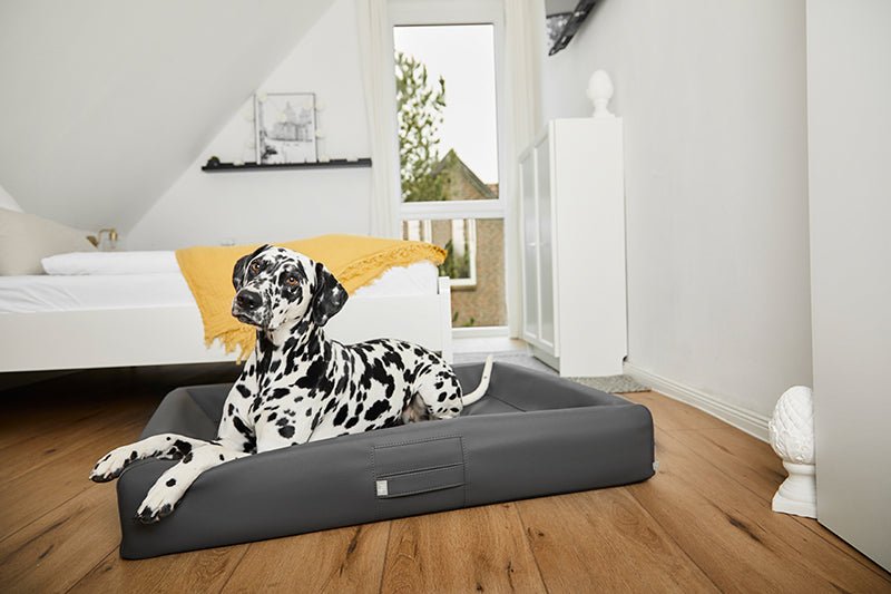 ammi®Bed#Farbe_Graphit