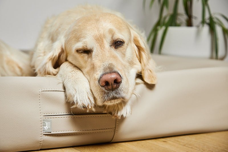 ammi®Bed#Farbe_Sand