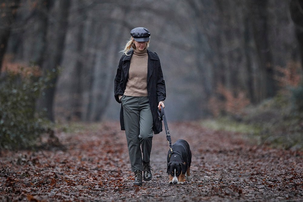 Fettlederleine 3 - fach verstellbar - ammi® for Dogs