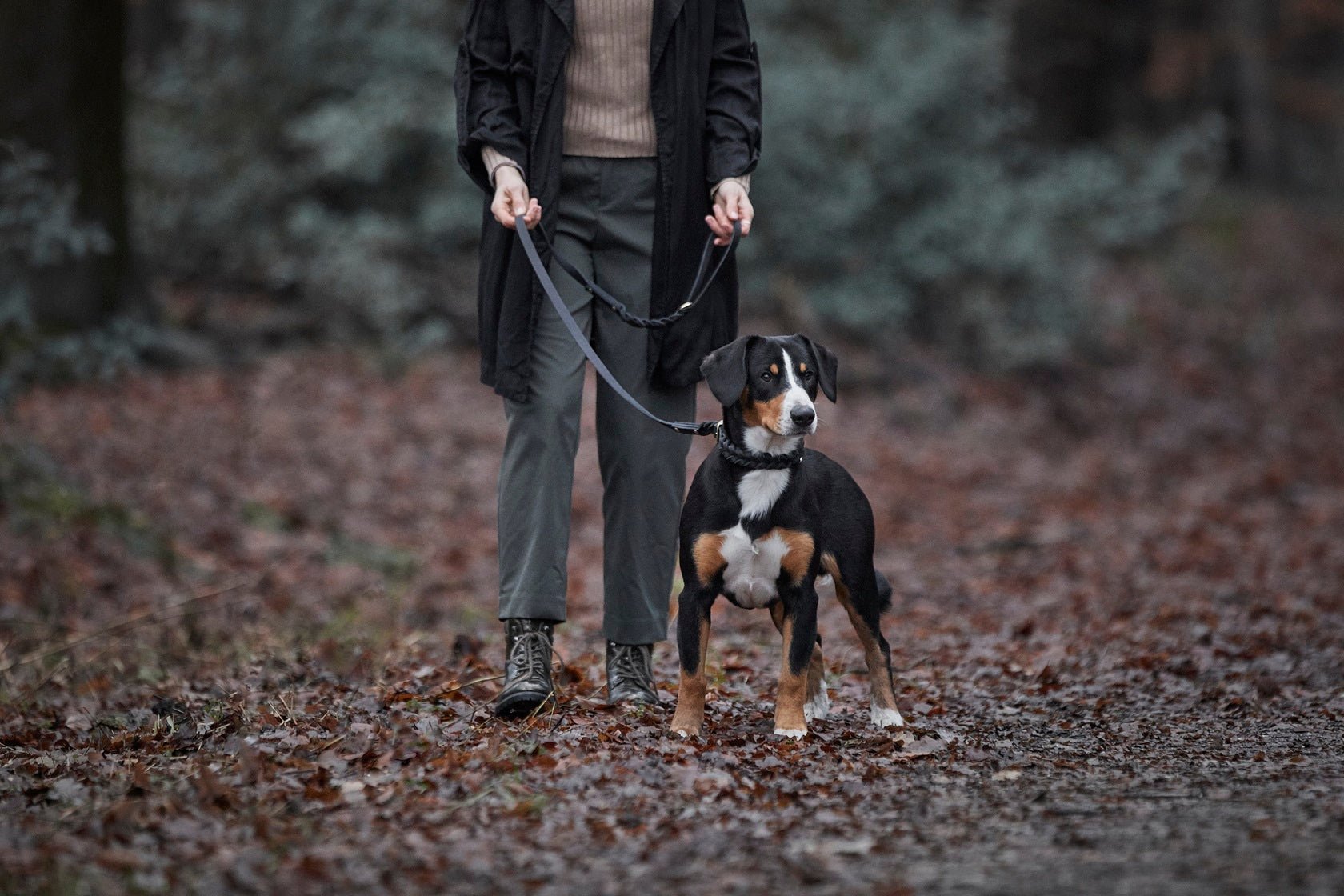 Fettlederleine mit Handschlaufe geflochten - ammi® for Dogs