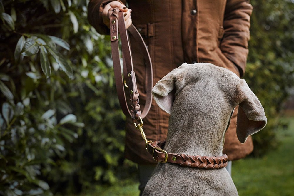 Fettlederleine mit Handschlaufe geflochten - ammi® for Dogs