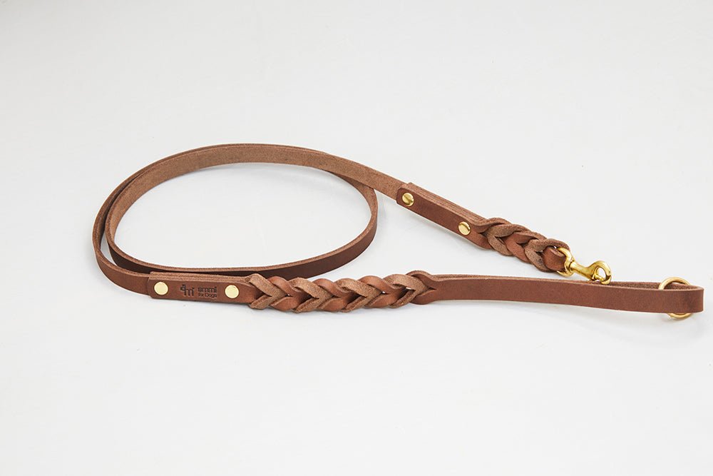 Fettlederleine mit Handschlaufe geflochten - ammi® for Dogs