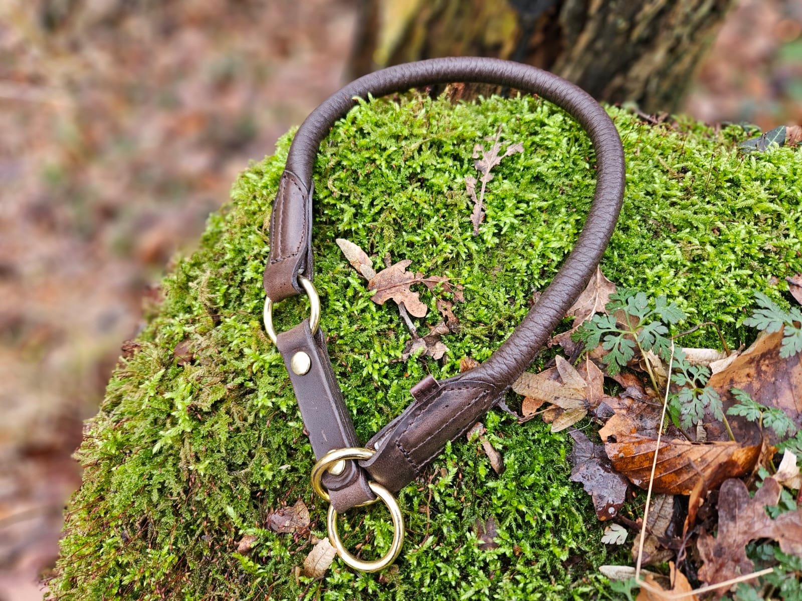 Hirschlederhalsband rund - ammi® for Dogs