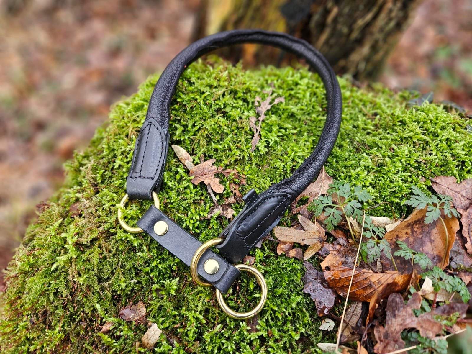 Hirschlederhalsband rund - ammi® for Dogs