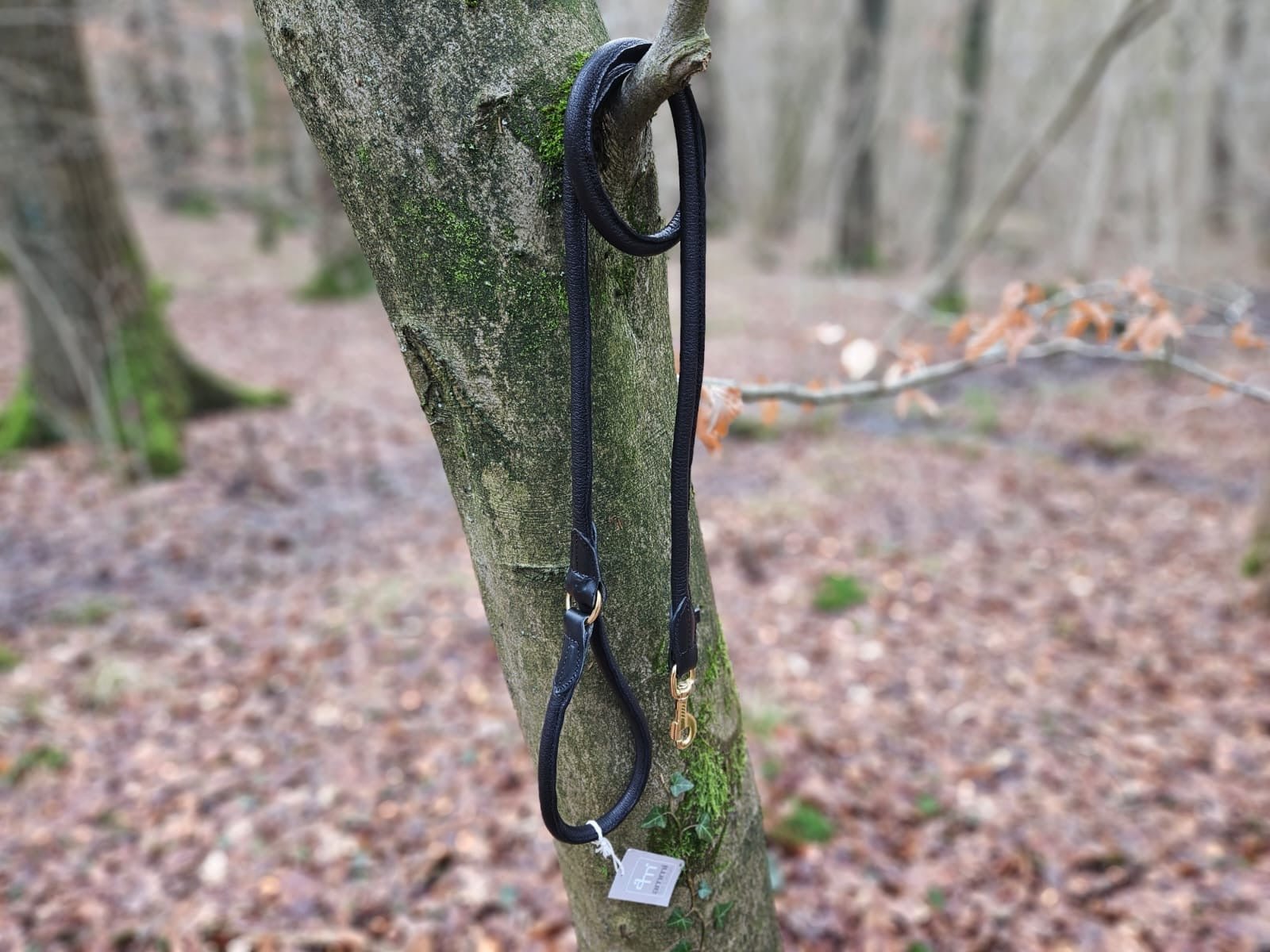 Hirschlederleine mit Handschlaufe - ammi® for Dogs