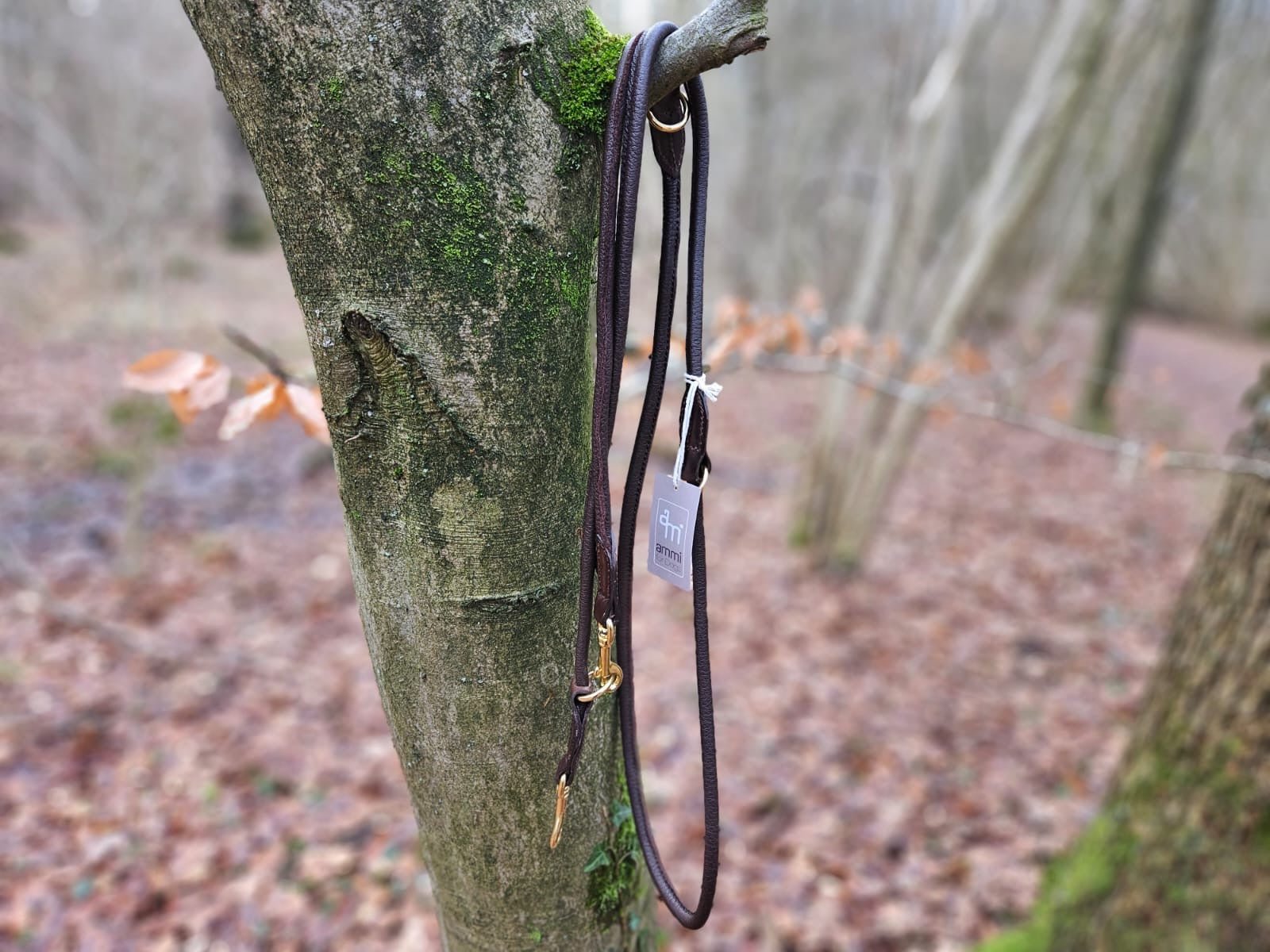 Hirschlederleine verstellbar - ammi® for Dogs