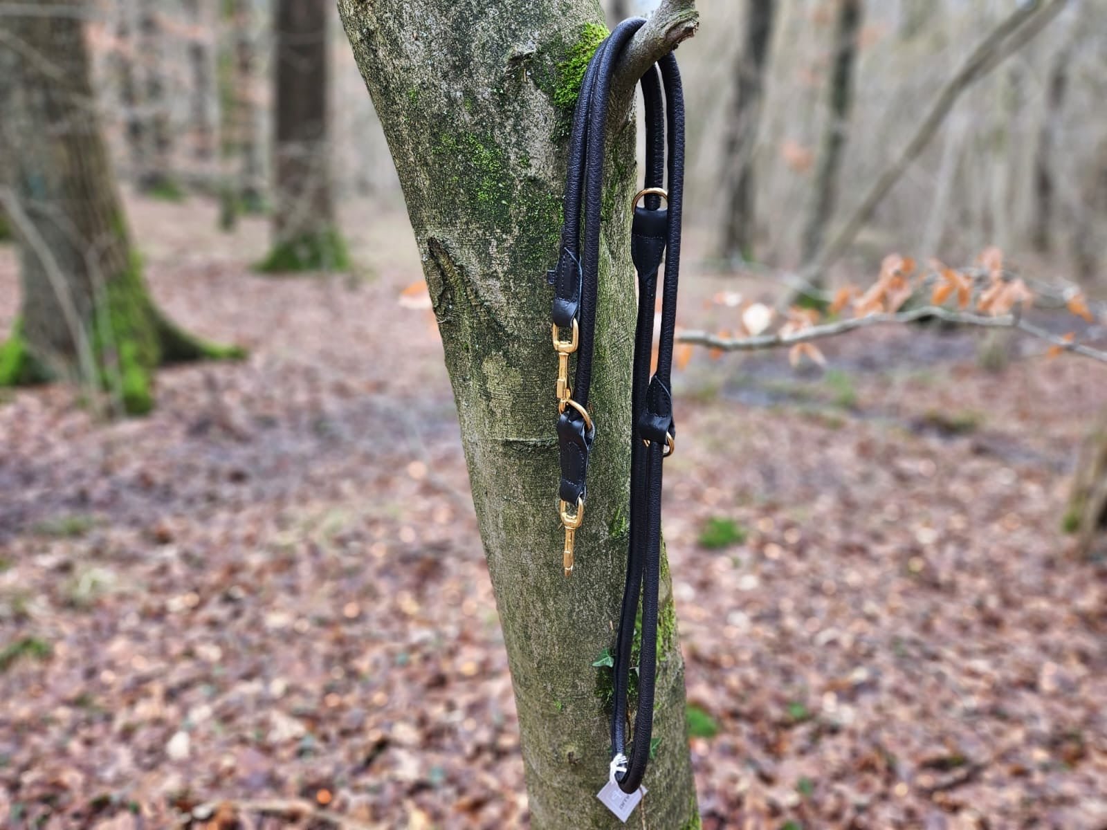 Hirschlederleine verstellbar - ammi® for Dogs