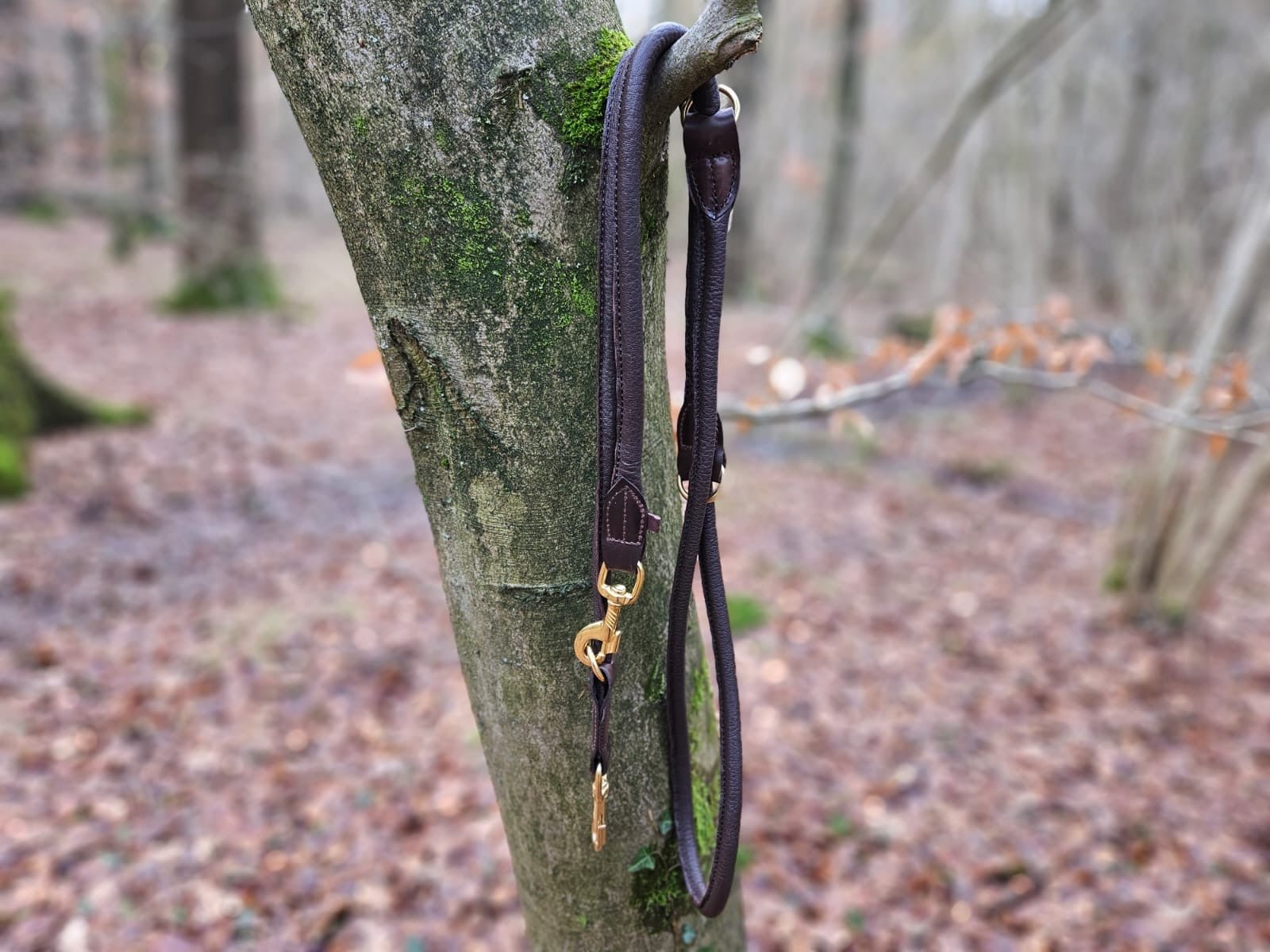 Hirschlederleine verstellbar - ammi® for Dogs