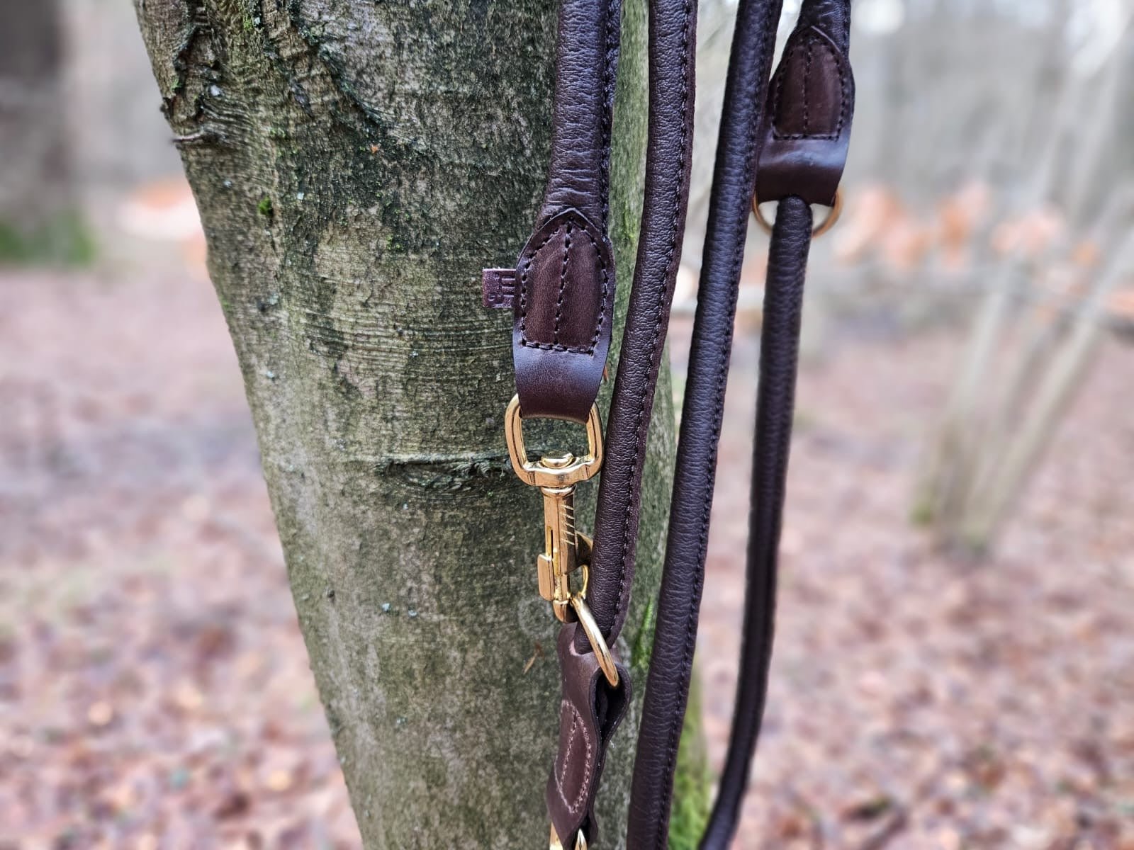 Hirschlederleine verstellbar - ammi® for Dogs