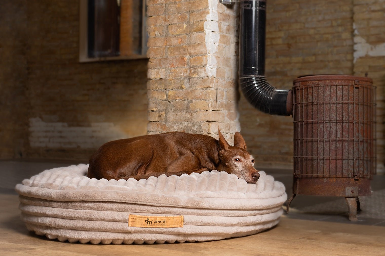 Hundekissen Cama - ammi® for Dogs