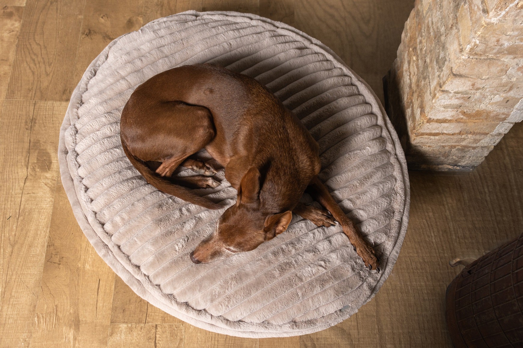 Hundekissen Cama - ammi® for Dogs