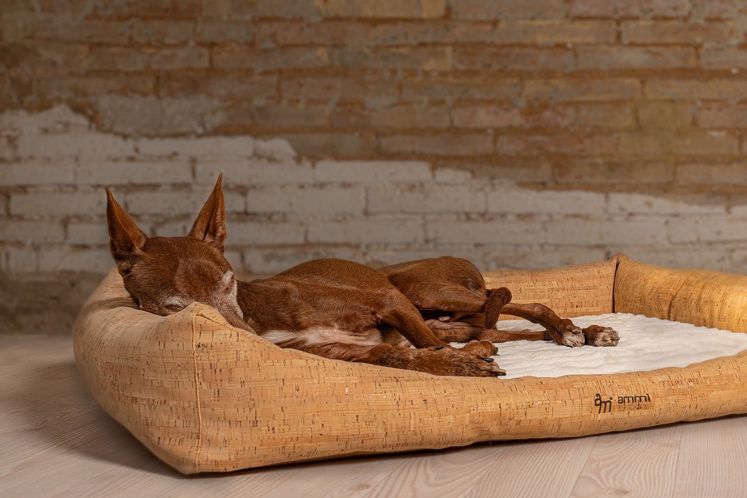 Korkhundebett Nubo orthopädisch - ammi® for Dogs